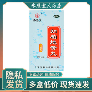 九芝堂知柏地黄丸200丸滋阴补肾降火男补女阴虚火旺调理内热盗汗