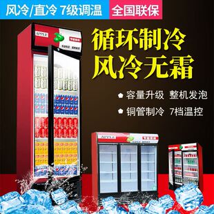 厂促冷藏柜保鲜柜展示柜立式饮料柜商用单门家用冰柜商用冷柜水品