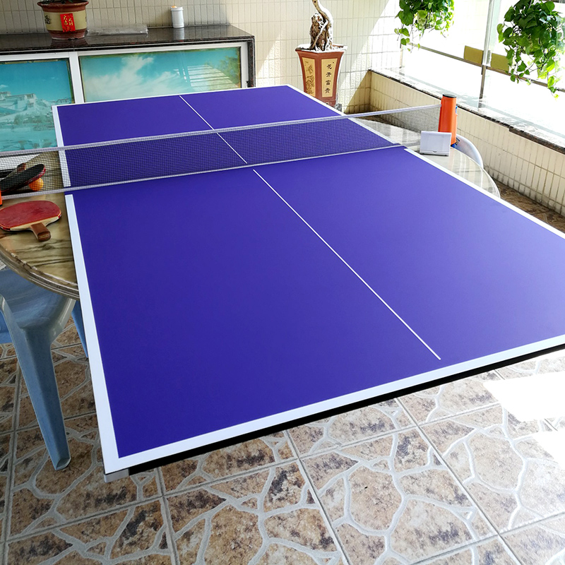 送网家用标准乒乓球桌面多型号简易儿童新手台面迷你小尺寸练习板