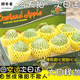 空运云南大目释迦果版纳元谋释迦番荔枝5斤牛奶林檎摩尼果现货