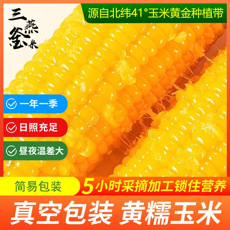 东北真空包装糯玉米棒黄黏苞米5根即食低脂代餐饱腹朝阳产甜玉米