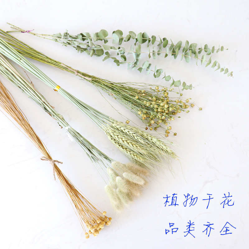 兔尾草干花胡麻豆快乐花麦子小麦穗大麦植物干花花束家居装饰插花