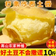 正宗甘肃定西土豆黄心沙面新鲜马铃薯洋芋农自种蔬菜现挖10斤包邮