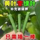 【下单立减50】懒人营养棒氮磷钾盆栽花卉肥料通用缓释棒家庭园艺