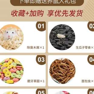 仓鼠笼子专用47基础便宜超大的60特大号别墅金丝熊窝宠物用品大全