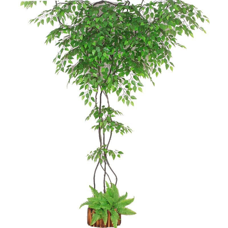 天然干树藤装饰缠绕室内造景枯藤老藤藤蔓红山藤植物枯木仿真藤条