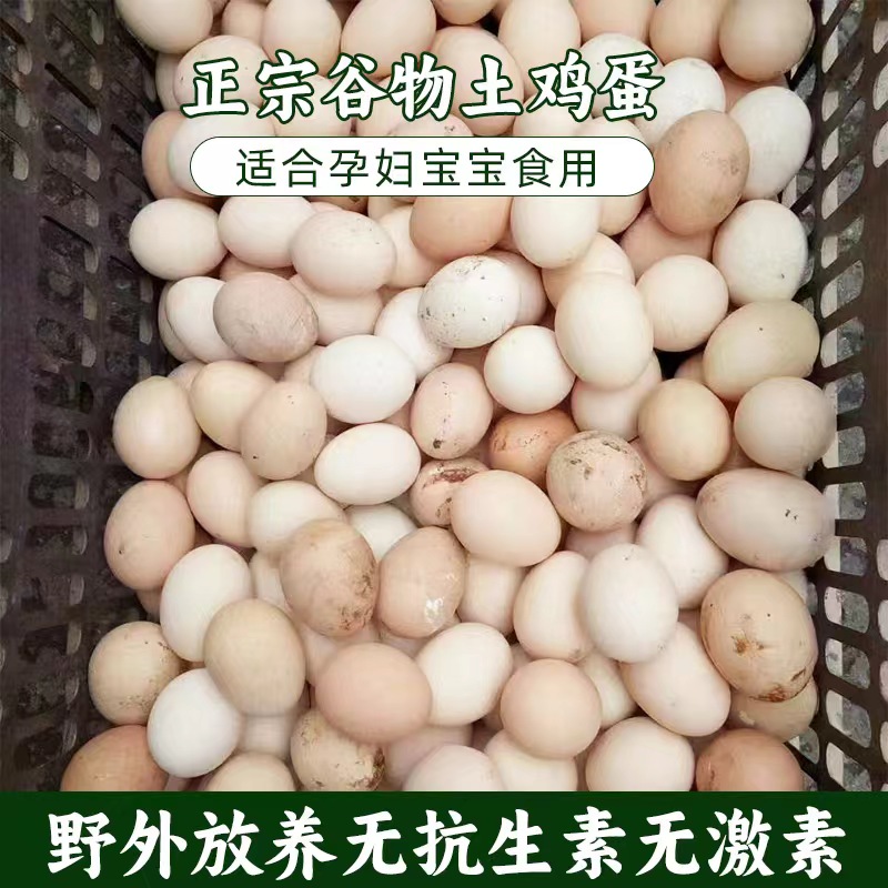 真正农家散养土鸡蛋新鲜农产品土特产