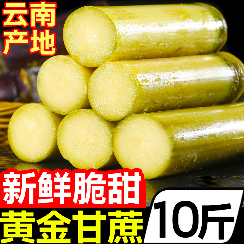 云南新鲜黄金甘蔗10斤热带水果黄皮