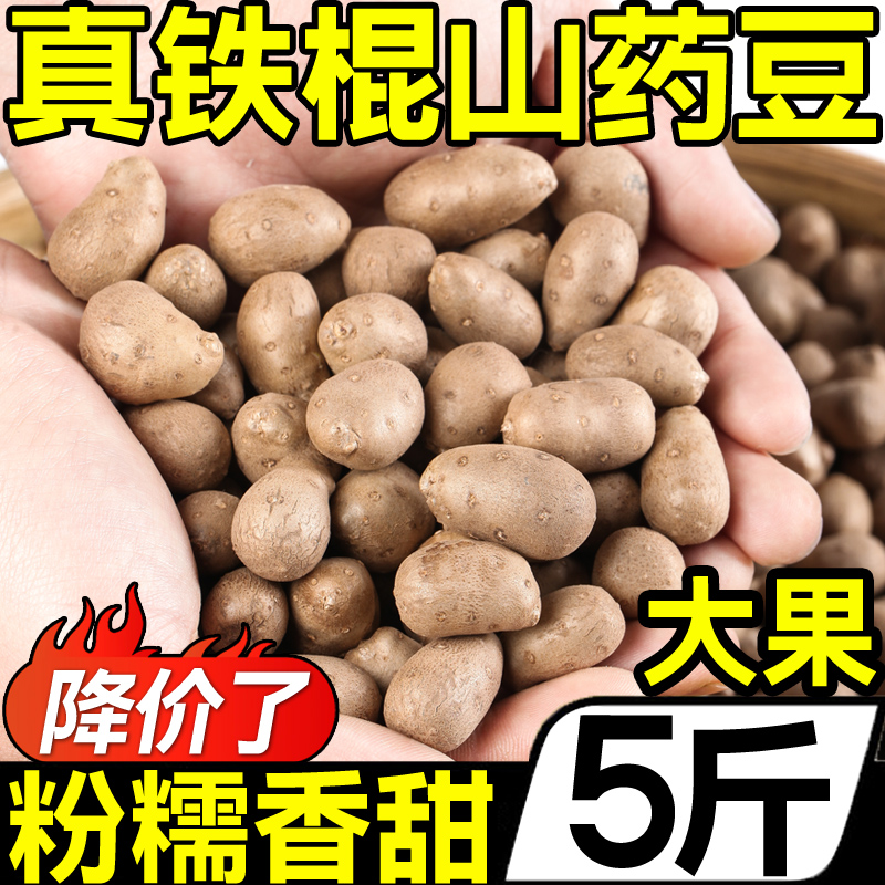 河南铁棍山药豆大果5斤新鲜现摘农家