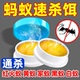 【蚂蚁克星】强效蚂蚁药全窝端家用非无毒厨房室内饭店灭蚁方便贴