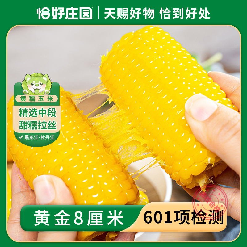 【恰好庄园】中段糯玉米段黄金8厘米