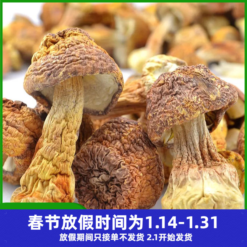 姬松茸干货100g 无碎无硫熏精选非野生山珍蘑菇 滋补火锅煲汤食材