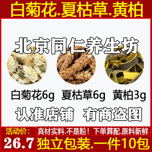 湿气重中药材白菊花6夏枯草6克黄柏3湿热原材料独立包装一件10副