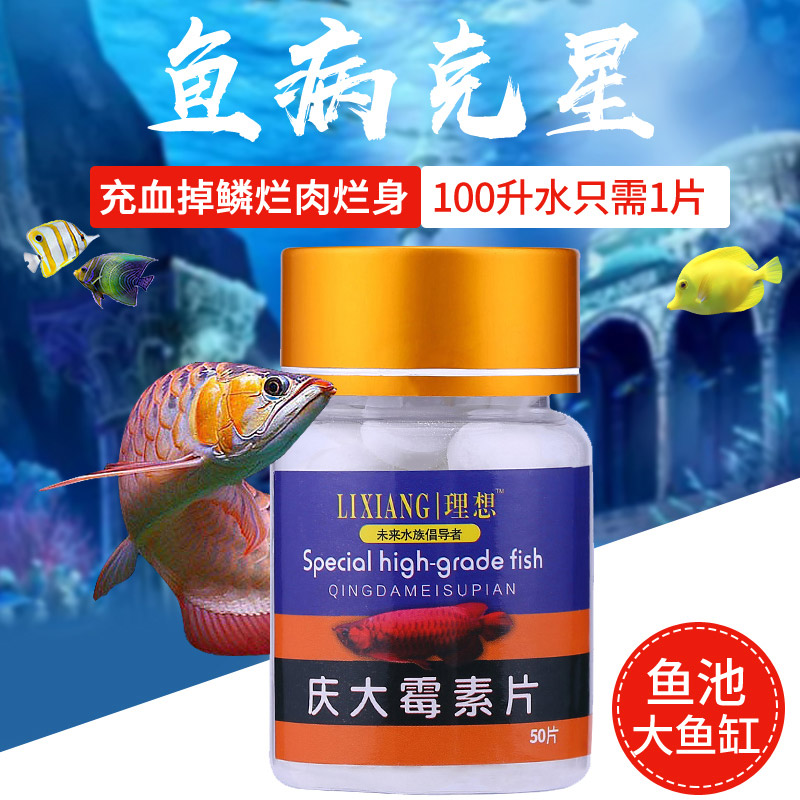 鱼药锦鲤金鱼鹦鹉罗汉鱼烂鳃烂尾腐皮炸鳞竖鳞烂肉烂嘴病庆大霉素|ruв категории животное/Животное питание и принадлежностей, аквариум мира, Другие полезные бактерии - от Buy2taobao.com для оказания профессиональной услуги покупки агента Taobao