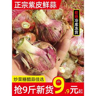 2024云南紫皮大蒜5-9斤新鲜精选蒜头鲜蒜头新蒜红蒜湿蒜腌糖醋蒜