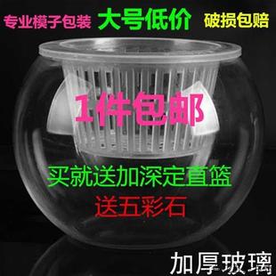 [特大号]水培植物玻璃瓶水培绿萝花瓶花盆玻璃圆球鱼缸容器皿.