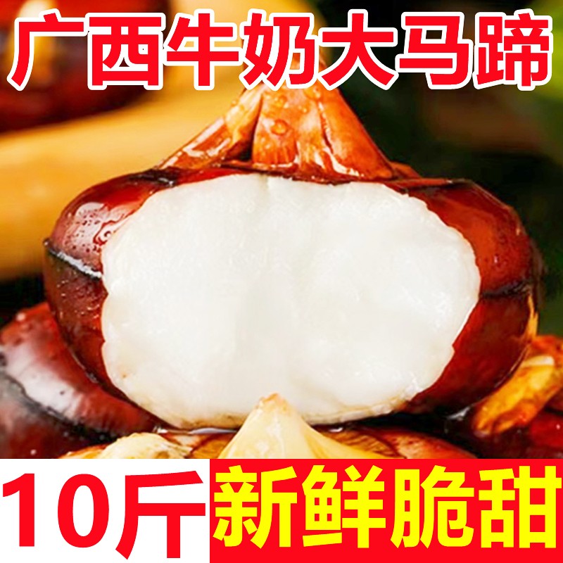 广西牛奶大马蹄荸荠新鲜10斤水果珍