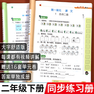 2024年 二年级下册同步练习册语文数学练习题人教版北师大版苏教版上册专项训练小学课本同步练习试卷测试卷全套一课一练53天天练