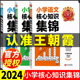 2024版王朝霞小学核心知识集锦语文数学英语大集结大盘点一本六年级小升初总复习重点知识知识点清单汇总大全归纳总结全套人教版53