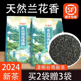 高山阳光绿茶2024新茶叶日照云雾春茶自己喝明前特级嫩芽毛尖浓香