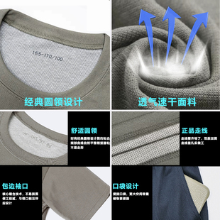 正品际华3543体能训练服套装夏健身运动短裤体能服短袖T恤男圆领