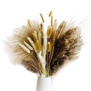 Small Pampas Grass Centerpieces For Tables,100 Stems Dried