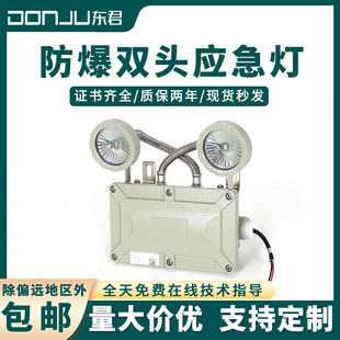 东君集中控制消防爆双头应急灯智能36V/24V紧急疏散应急照明220V