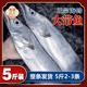 带鱼新鲜特大整条海捕大带鱼钓带鱼油带东海刀鱼单条700克-1000克