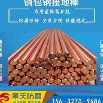 新款新品厂促优离地接铜极 F地接25棒置 镀接地线250包铜钢防雷接