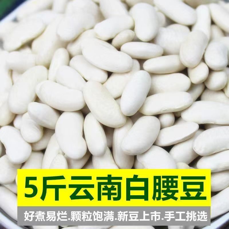 白腰豆白豆云南农家自种 豆米煲汤煲