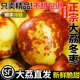 陕西正宗大荔冬枣现摘冬枣脆枣鲜枣新鲜水果爆甜礼盒顺丰包邮5斤