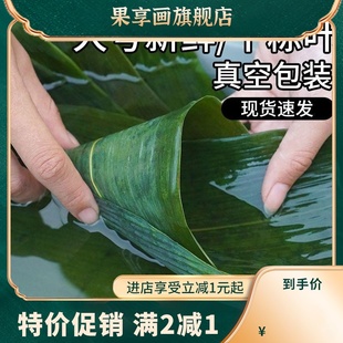 100片精选粽叶新鲜粽子叶包粽子专用端午节粽叶干大号宽箬叶铺垫