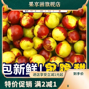 冬枣新鲜大枣山东沾化当季整箱5斤现摘现发青枣红枣新鲜水果枣子3