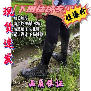 水田沙滩插秧鞋高弹力泥鞋加长防扎防蛰袜子鞋农田泥田橡胶底水鞋