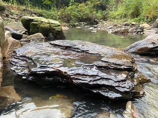 溪流缸造景石鱼缸装饰原生溪流石主石头大块岩片底砂水草晒台千层