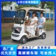 小巴士A5电动四轮车老年代步车接送孩子四轮电动车老人电瓶车带棚