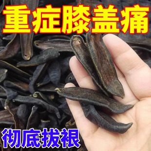 【药房同款】膝盖疼痛贴药膝盖速效漆盖积液止痛特效专用贴膏