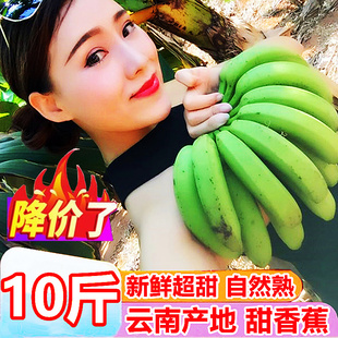 云南西双版纳甜香蕉10斤新鲜水果当季整箱芭蕉小米蕉苹果蕉自然熟