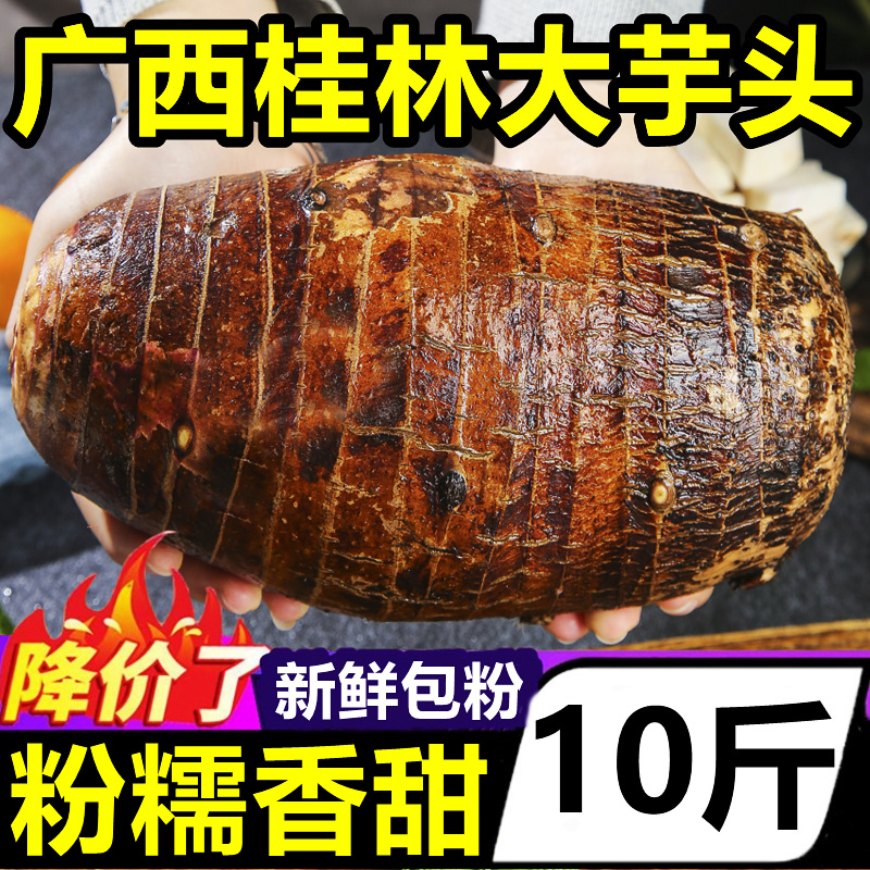 广西桂林粉糯大芋头10斤新鲜蔬菜毛