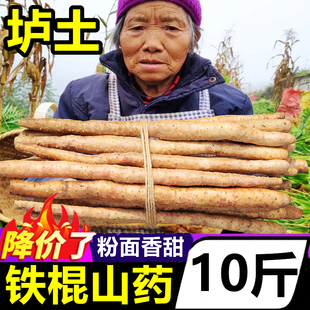 河南正宗垆土铁棍山药10斤新鲜小白嘴怀山铁杆淮山药官方旗舰店5