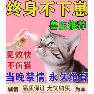 猫咪绝育发情抑制专用药母公猫禁情液乱叫不让宠物禁止发情喷雾rx