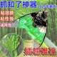抓知了神器粘知了胶小绿手粘圆球捕蝉伸缩粘性工具金蝉知了捕捉器