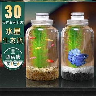 初中生态瓶diy材料生物课创意水族箱微景观造景斗鱼缸桌面DIY鱼缸