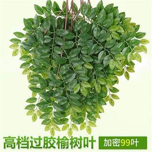 仿真榆树叶手感过胶塑料榆树支绿色植植物叶子假树枝工程装饰造型