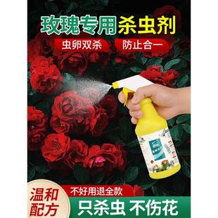 玫瑰花杀虫剂月季花病虫害常用药花卉植物蚜虫家用花盆土壤小飞虫