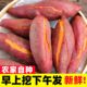 新鲜蜜薯10斤板栗红薯沙地糖心地瓜农家自种番薯现挖红心香薯山芋