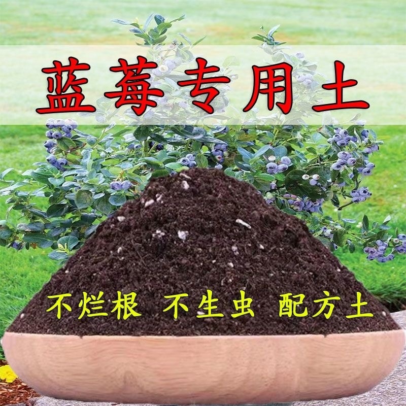 蓝莓专用土蓝莓树营养土瓜果树通用土壤蓝莓盆栽种植土有机土肥料