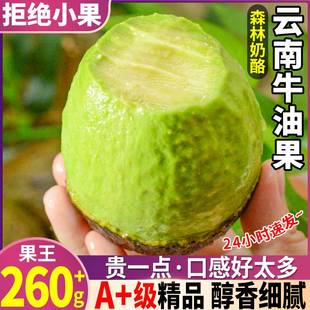 巨无霸云南牛油果10个装新鲜孕妇水果鳄梨哈斯大果当季整箱包邮