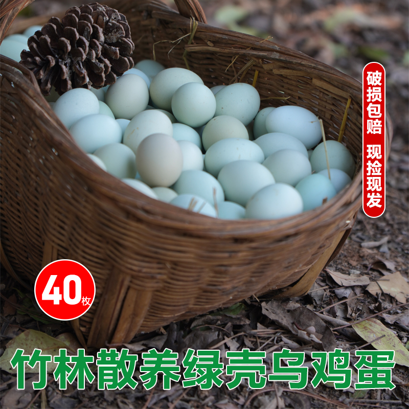 农家深山竹林散养新鲜正宗土鸡蛋乌鸡蛋绿壳笨鸡蛋40枚绿皮山鸡蛋