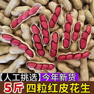 2023新鲜生花生带壳红皮花生米生新货衣原味炒熟农家花生种子籽